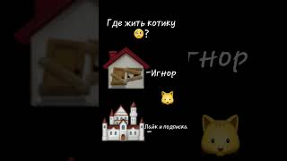 Где Жить Котику ?🐱🐱🐱😭😭😭🥺🥺🥺🥺🏰🏚#Хочуврек #Врекомендации #Популярное