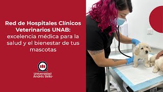 Red de Hospitales Clínicos Veterinarios UNAB