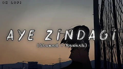 Aye Zindagi OST:- (Slowed + Reverb ) || Aima Baig's || @SH_Lofi