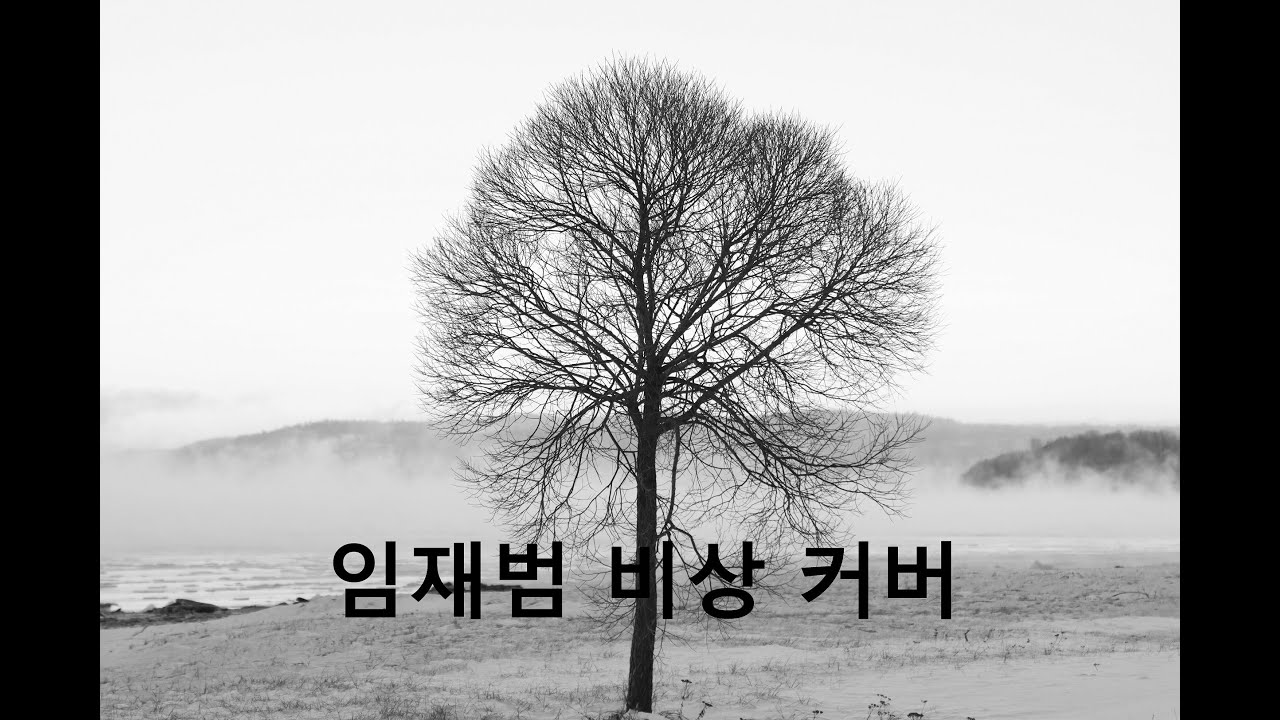 비상 임재범