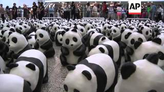 1600 hundred model pandas made from recyled paper invade airport