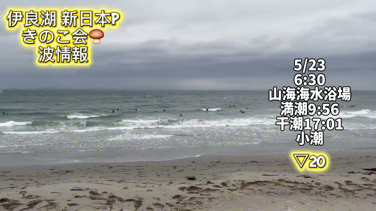 5/23 6:30 Yamami Beach [Kinoko-kai Surf Report] 2026 - YouTube