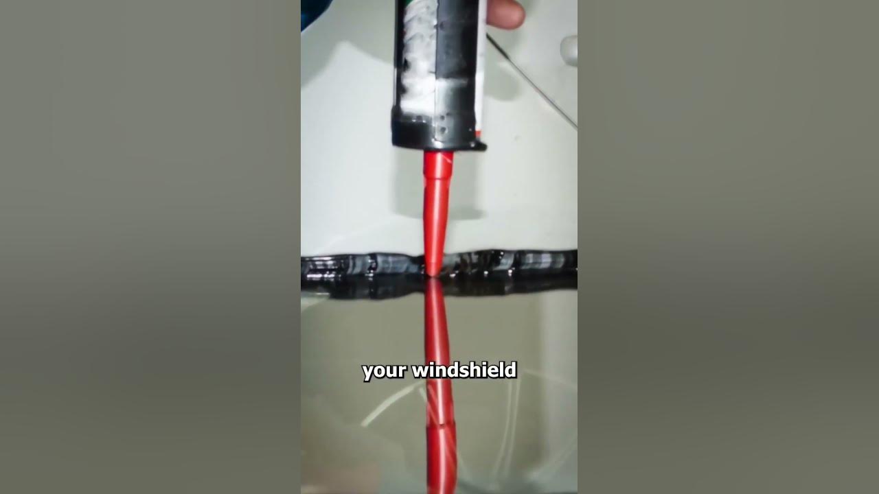 What is the purpose of the small black dots on the border of