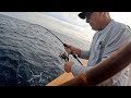 Dinner on a spinner  light line tuna fishing  san diego ca