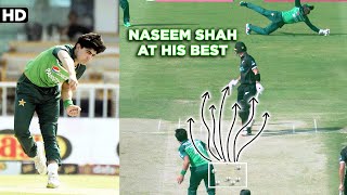 Naseem Shah Fantastic Bowling vs New Zealand | PCB | M2B2A screenshot 5