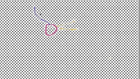 IBDP Biology Topic 7.1 HL DNA Replication student explanation via screencast 2