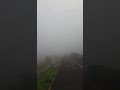 Japan Life - Thursday morning fog