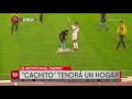 Cachito, el perro que irrumpió en un partido de fútbol, será adoptado por un jugador del Tigre