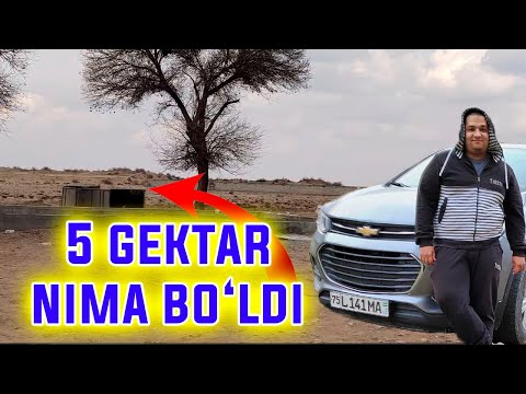 Video: Termosetlar yonadimi?