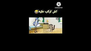 موردكاي وركبي 