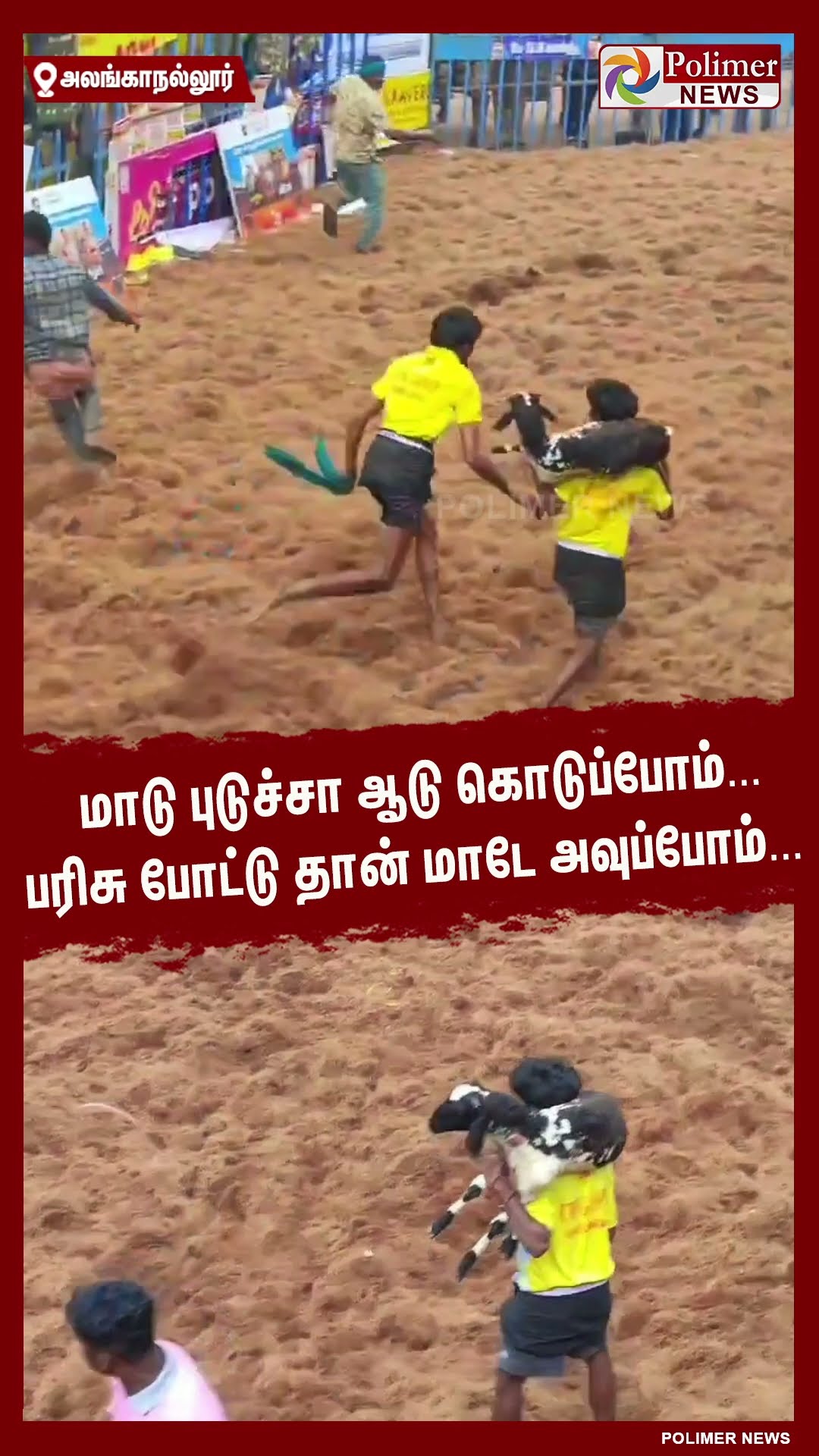 மாடு புடுச்சா ஆடு கொடுப்போம்.. பரிசு போட்டு தான் மாடே அவுப்போம்.. #shorts | #alanganallurjallikattu