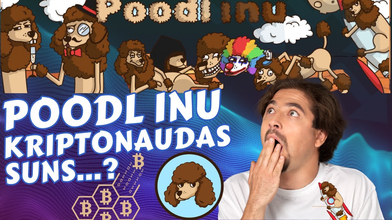 Vau vau, Poodl Inu kripto buļļu skrējienā kāpj augšup! 🐩