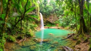 12 Hours of Tropical Waterfall & Jungle Sounds | Turquoise Blue-Green Water & Paradise Nature