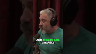 Shocking Revelations By Icig Urgent And Credible Claims Exposed