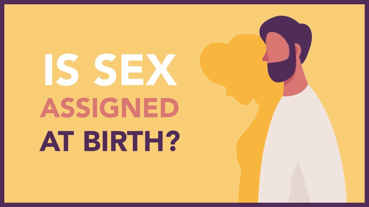 Is Sex Assigned At Birth Youtube