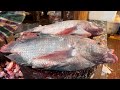 POPULAR BIG TILAPIA FISH CUTTING SKILLS | FISH MARKET BANGLADESH