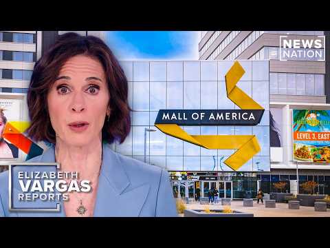 Mall of America attack suspect 'not the brightest': Rep. Crawford | Elizabeth Vargas Reports