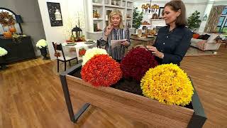 Faux Mum Urn Filler by Valerie on QVC