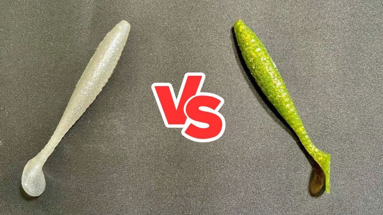 Light VS. Dark Soft Plastic Lure Color Contest: What Gets More Bites? 