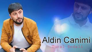 Tural Sedali - Aldin Canimi - 2023 Yeni Resimi