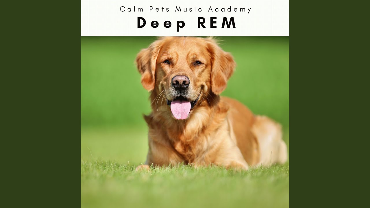 Dogs Advanced Dreams Nature Noise for Hard Dog REM Phase