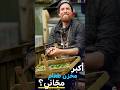 #وثائقي طعام طبيعي ومجاني في المدينة؟