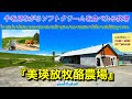 【4K】『美瑛放牧酪農場』(北海道美瑛町)絶景の景色と牛を見ながらソフトクリームを食べれる牧場(日本語・英語など、20言語字幕選択可能)