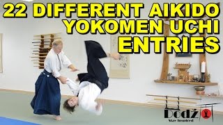 [Aikido Techniques] 22 Yokomen Uchi Entries w. Sensei Patrick Cassidy (6th Dan)