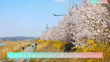 الاية ١ من سورة التغابن مكرره ٥مرات للإتقان بصوت الشيخ ايمن سويد 