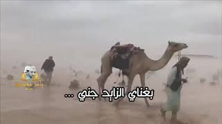 الشاعر احمد ودافادة حنين النمه و الشاشاي