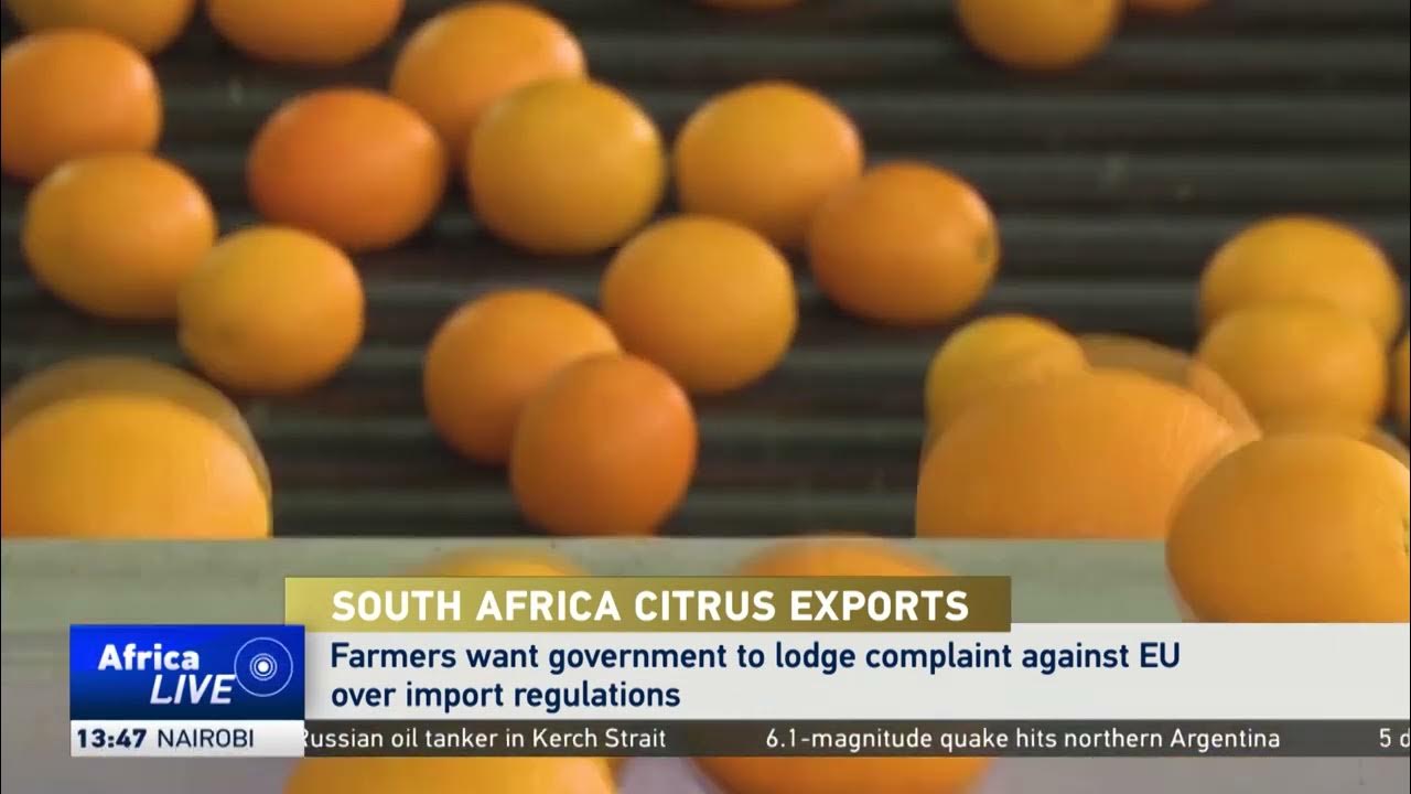 SA citrus farmers take on EU over import regulations