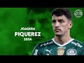 Joaquim piquerez  se palmeiras  goals and skills  2024 