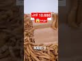 معركه ال 10 آلاف دوده دوده Shorts Science Global Animals 