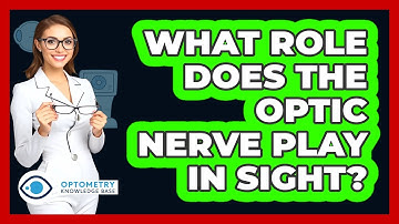 What Role Does The Optic Nerve Play In Sight?