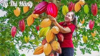 Harvest BIG COCOA \u0026 Cooking - 2 Years Alone in the Forest