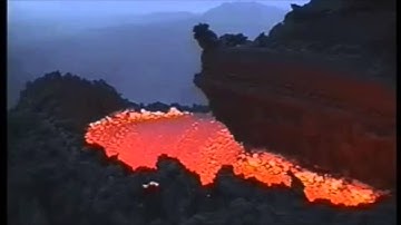 NEWTRAX - "STRUCTURE"