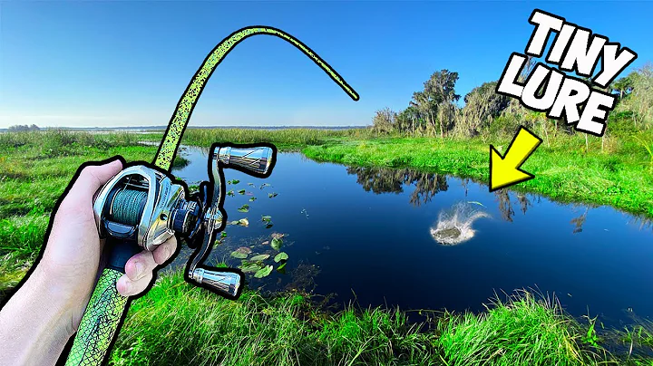 1v1v1 Tiny Lures ONLY Bass Fishing Tournament (INS...