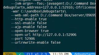 What's New in Commandbox 4 - Debugging Servers Details