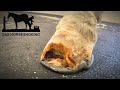 CHRONIC ABSCESS!! (Veterinarian & Horseshoeing Collaboration) Therapeutic Horseshoeing