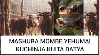 MASHURA MOMBE YEHUMAI KUCHINJA KUITA DATYA