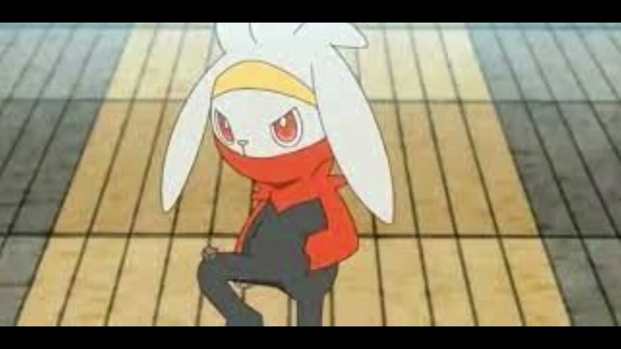 Should The Pokemon Raboot Get An Official Mascot Costume? 