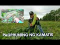 PANGALAWANG HARVEST | MAY PERA SA UPO!