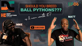 Double Clutch Episode 6 - Should You Breed Ball Pythons