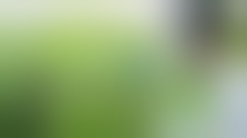 Super Cropping | Creating That Sea Of Green!