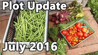 Plot Update July 2016