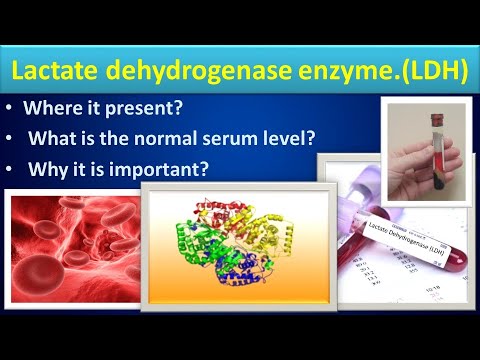 Видео: Лактатдегидрогеназа ямар үед нэмэгддэг вэ?