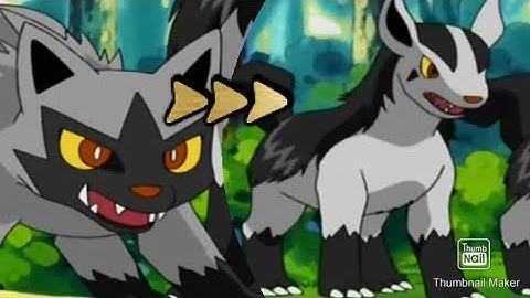Poochyena Evolve Into Mightyena