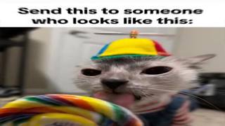 Idiots Dub Discord Gifs