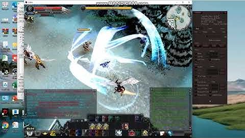 Bug damage Cabal NA 07th November 2022