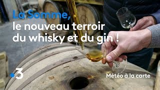 La Somme, le nouveau terroir du whisky et du gin ! - Météo à la carte